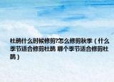 杜鵑什么時候修剪?怎么修剪秋季（什么季節(jié)適合修剪杜鵑 哪個季節(jié)適合修剪杜鵑）