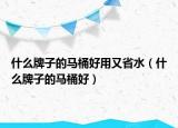 什么牌子的馬桶好用又省水（什么牌子的馬桶好）