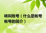啥叫賬號（什么是帳號 帳號的簡介）