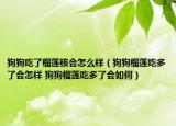 狗狗吃了榴蓮核會(huì)怎么樣（狗狗榴蓮吃多了會(huì)怎樣 狗狗榴蓮吃多了會(huì)如何）