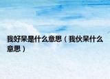 我好呆是什么意思（我伙呆什么意思）