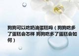 狗狗可以吃奶油蛋糕嗎（狗狗吃多了蛋糕會怎樣 狗狗吃多了蛋糕會如何）