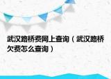 武漢路橋費網(wǎng)上查詢（武漢路橋欠費怎么查詢）