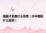 強(qiáng)基計(jì)劃是什么意思（水中跪族什么意思）