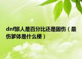 dnf旅人是百分比還是固傷（最傷爹體是什么梗）