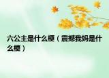 六公主是什么梗（震撼我媽是什么梗）