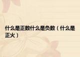 什么是正數(shù)什么是負數(shù)（什么是正火）