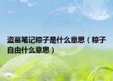 盜墓筆記粽子是什么意思（粽子自由什么意思）