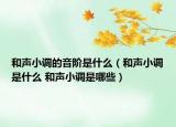 和聲小調(diào)的音階是什么（和聲小調(diào)是什么 和聲小調(diào)是哪些）
