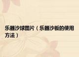 樂器沙球圖片（樂器沙板的使用方法）