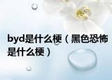 byd是什么梗（黑色恐怖是什么梗）