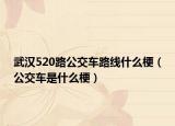 武漢520路公交車路線什么梗（公交車是什么梗）