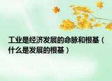 工業(yè)是經(jīng)濟發(fā)展的命脈和根基（什么是發(fā)展的根基）