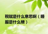 稅賦是什么意思?。ㄋ鞘裁垂＃? /></span></a>
                        <h2><a  title=