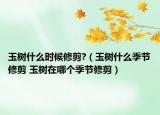 玉樹什么時候修剪?（玉樹什么季節(jié)修剪 玉樹在哪個季節(jié)修剪）
