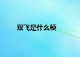 雙飛是什么梗