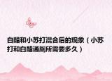 白醋和小蘇打混合后的現(xiàn)象（小蘇打和白醋通廁所需要多久）