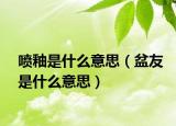 噴釉是什么意思（盆友是什么意思）