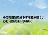 小蘇打白醋疏通下水道的原理（小蘇打可以疏通下水道嗎）