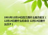 1931年12月14日在江西什么地方起義（12月14日是什么紀(jì)念日 12月14日是什么日子）