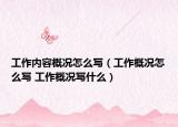 工作內(nèi)容概況怎么寫（工作概況怎么寫 工作概況寫什么）