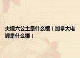 央視六公主是什么梗（加拿大電鰻是什么梗）