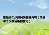 象是哪個(gè)少數(shù)民族的生肖呢（象是哪個(gè)少數(shù)民族的生肖）