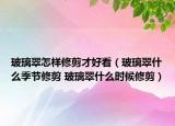 玻璃翠怎樣修剪才好看（玻璃翠什么季節(jié)修剪 玻璃翠什么時候修剪）