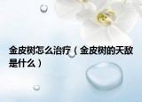 金皮樹(shù)怎么治療（金皮樹(shù)的天敵是什么）