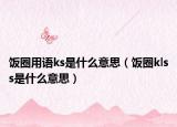 飯圈用語ks是什么意思（飯圈klss是什么意思）