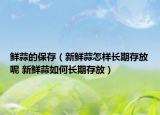 鮮蒜的保存（新鮮蒜怎樣長期存放呢 新鮮蒜如何長期存放）