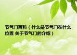 節(jié)氣門百科（什么是節(jié)氣門在什么位置 關(guān)于節(jié)氣門的介紹）