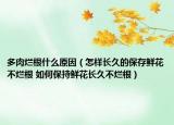 多肉爛根什么原因（怎樣長(zhǎng)久的保存鮮花不爛根 如何保持鮮花長(zhǎng)久不爛根）