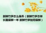 新鮮竹筍怎么保養(yǎng)（新鮮竹筍怎樣長期保鮮一年 新鮮竹筍如何保鮮）