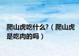 爬山虎吃什么?（爬山虎是吃肉的嗎）