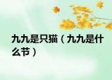 九九是只貓（九九是什么節(jié)）