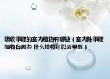 吸收甲醛的室內(nèi)植物有哪些（室內(nèi)除甲醛植物有哪些 什么植物可以去甲醛）