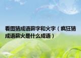 看圖猜成語(yǔ)薪字和火字（瘋狂猜成語(yǔ)薪火是什么成語(yǔ)）