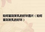 如何鑒別發(fā)乳的好壞圖片（如何鑒別發(fā)乳的好壞）