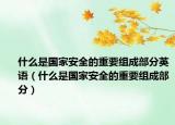 什么是國(guó)家安全的重要組成部分英語(yǔ)（什么是國(guó)家安全的重要組成部分）