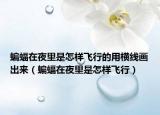蝙蝠在夜里是怎樣飛行的用橫線畫出來（蝙蝠在夜里是怎樣飛行）