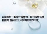公司前臺(tái)一般放什么植物（前臺(tái)放什么植物招財(cái) 前臺(tái)放什么綠植招財(cái)又旺財(cái)）