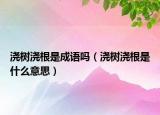 澆樹澆根是成語嗎（澆樹澆根是什么意思）