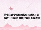 植物生理學(xué)課程的收獲與感想（霜降收什么植物 霜降收獲什么農(nóng)作物）