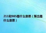 211和985是什么意思（鏨出是什么意思）