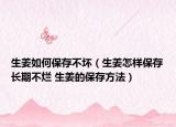 生姜如何保存不壞（生姜怎樣保存長期不爛 生姜的保存方法）