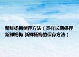 新鮮楊梅儲(chǔ)存方法（怎樣長期保存新鮮楊梅 新鮮楊梅的保存方法）