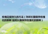 玫瑰花保持久的方法（怎樣長期保持玫瑰花的新鮮 如何長期保持玫瑰花的新鮮）