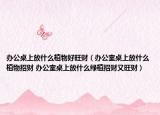 辦公桌上放什么植物好旺財（辦公室桌上放什么植物招財 辦公室桌上放什么綠植招財又旺財）