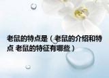 老鼠的特點(diǎn)是（老鼠的介紹和特點(diǎn) 老鼠的特征有哪些）
